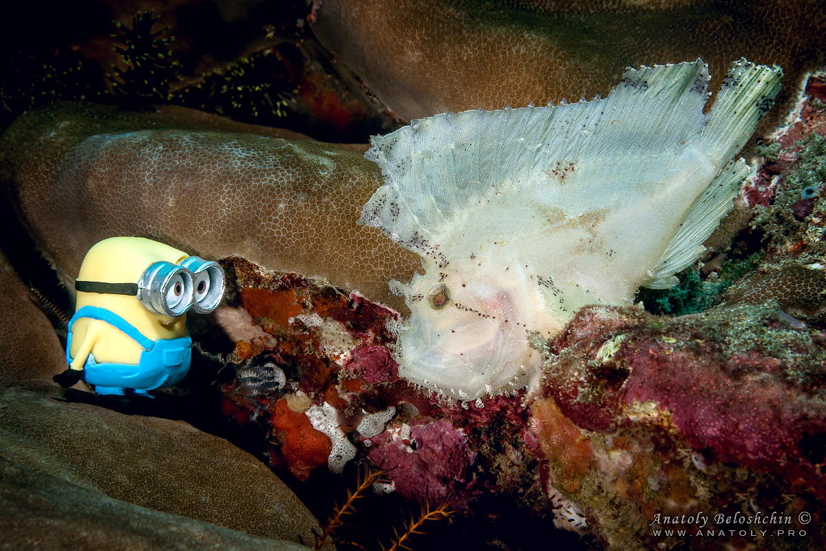Bali. Indonesia. Anatoly Beloshchin. Анатолий Белощин
