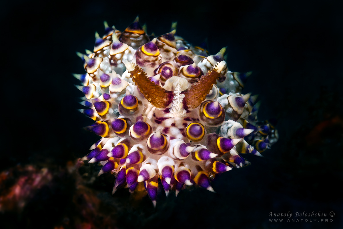 Bali. Indonesia. Anatoly Beloshchin. Анатолий Белощин