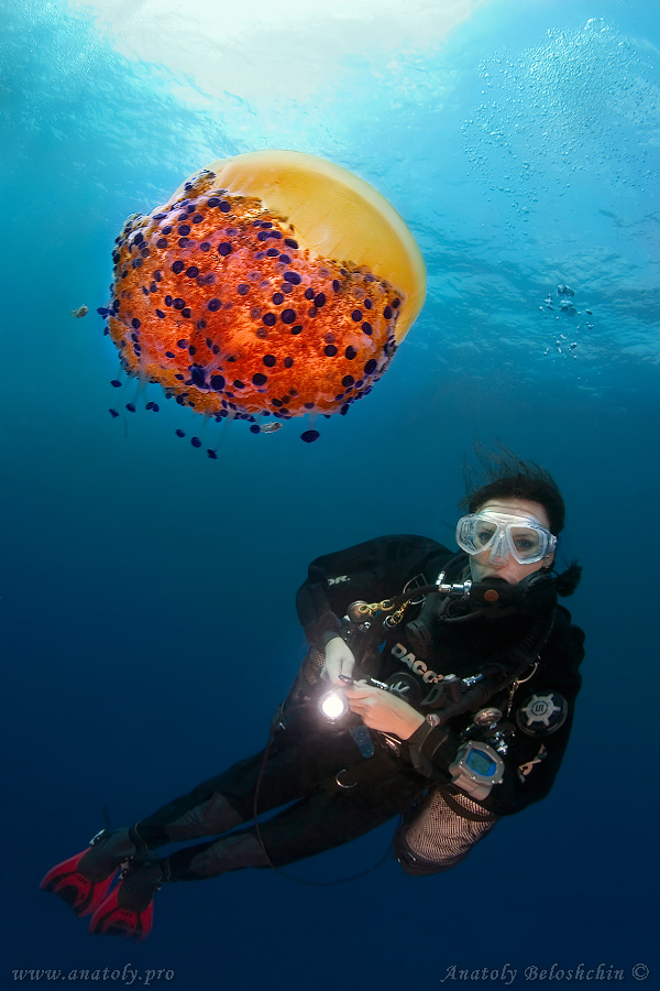 Malta, Anatoly Beloshchin