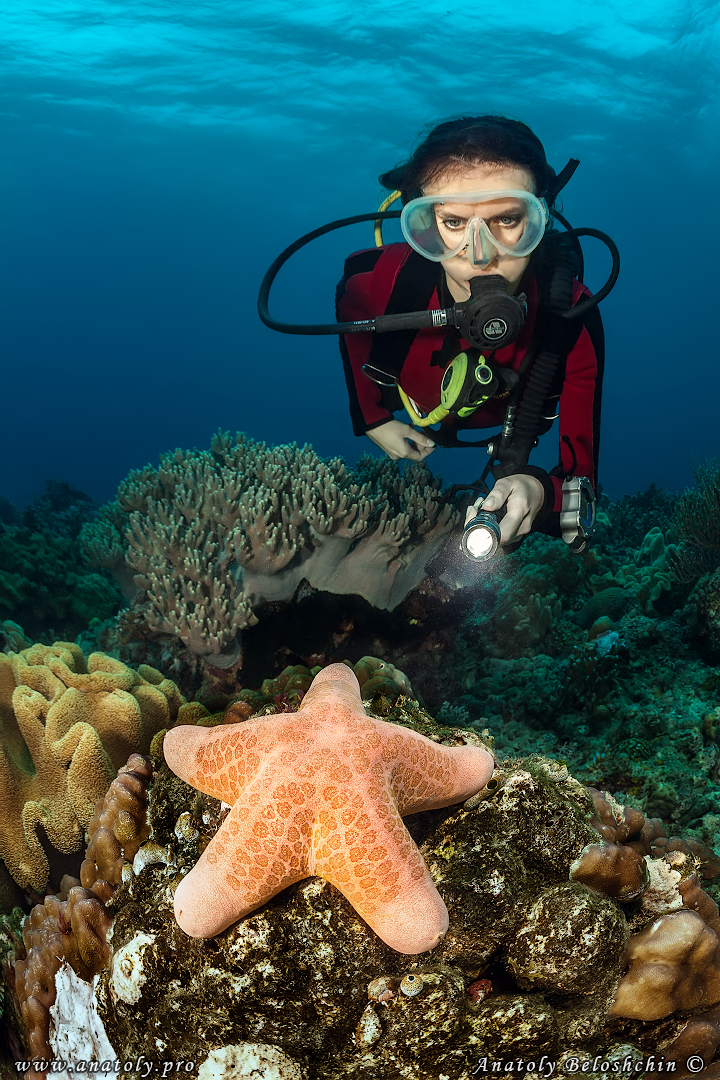 Philippines, Anatoly Beloshchin, Анатолий Белощин
