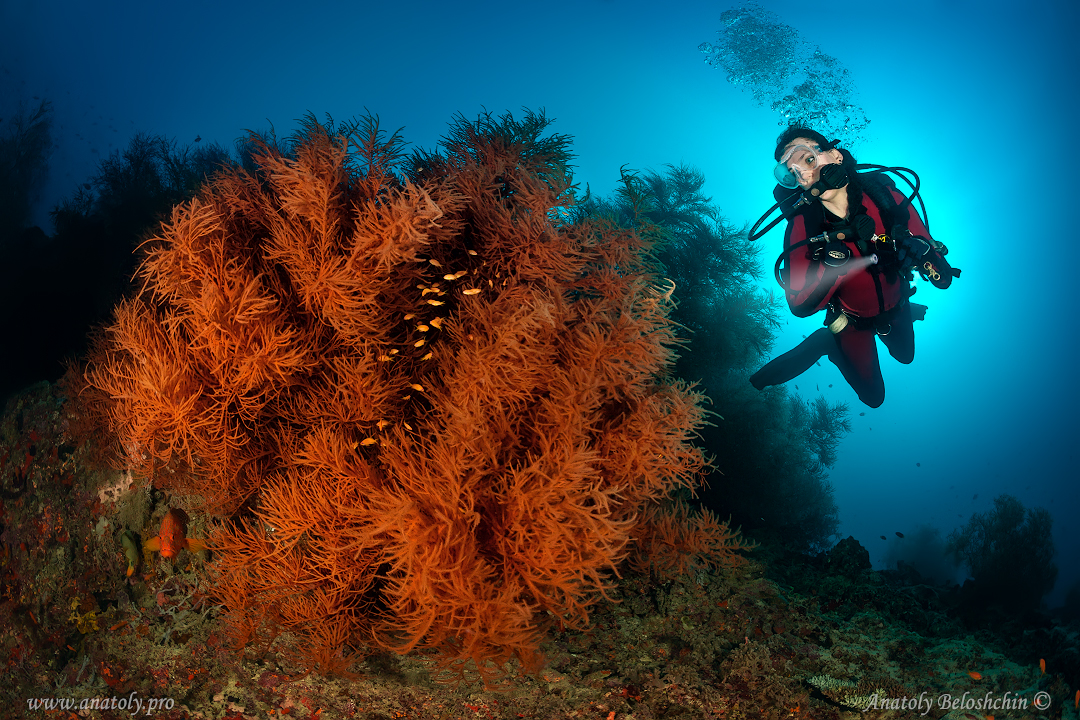 Maldives, Anatoly Beloshchin, Анатолий Белощин