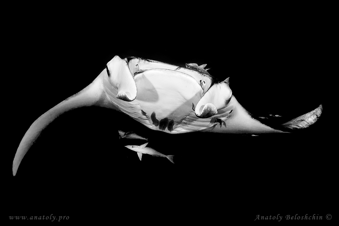 Maldives, Anatoly Beloshchin