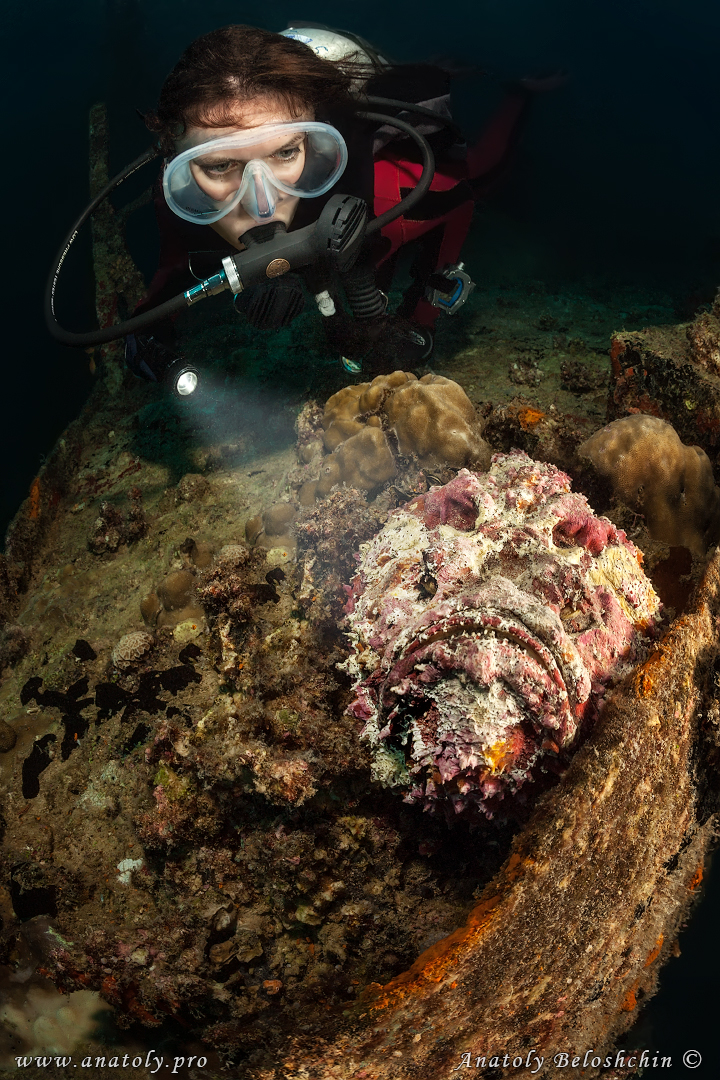 Maldives, Anatoly Beloshchin
