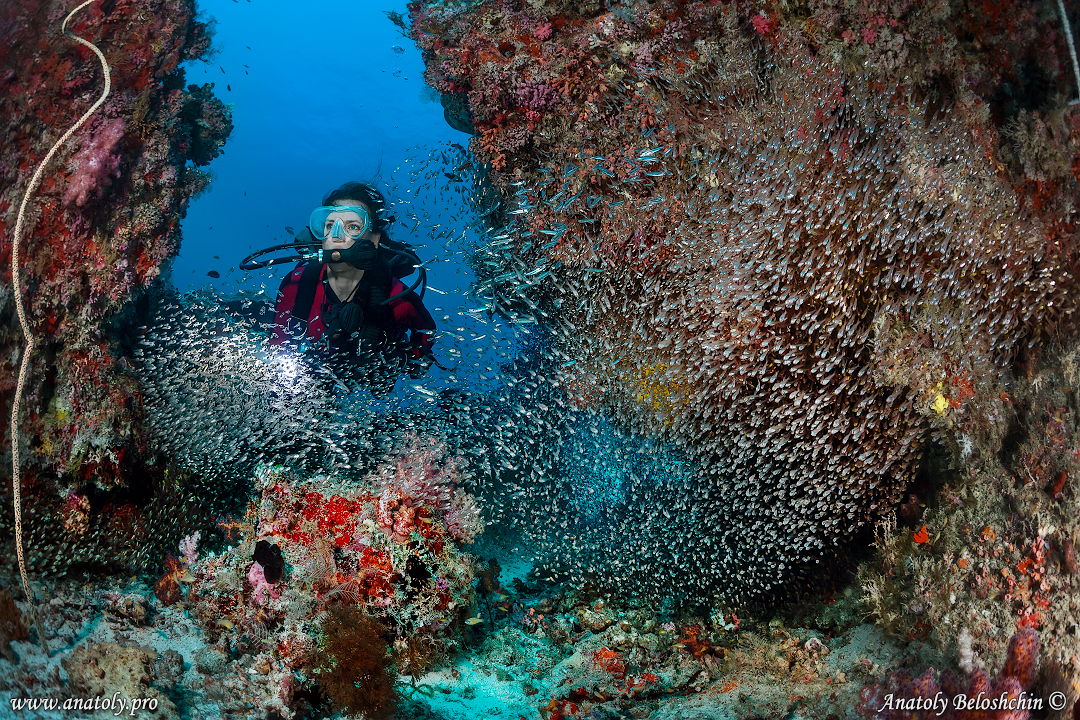 Maldives, Anatoly Beloshchin