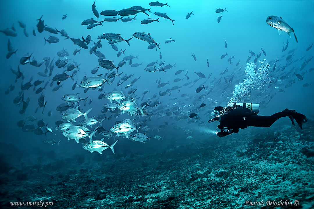 Maldives, Anatoly Beloshchin
