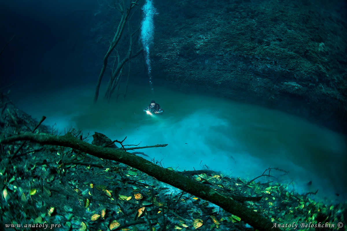 Cenote Angelita, Underwater wide angle, Anatoly Beloshchin, Белощин