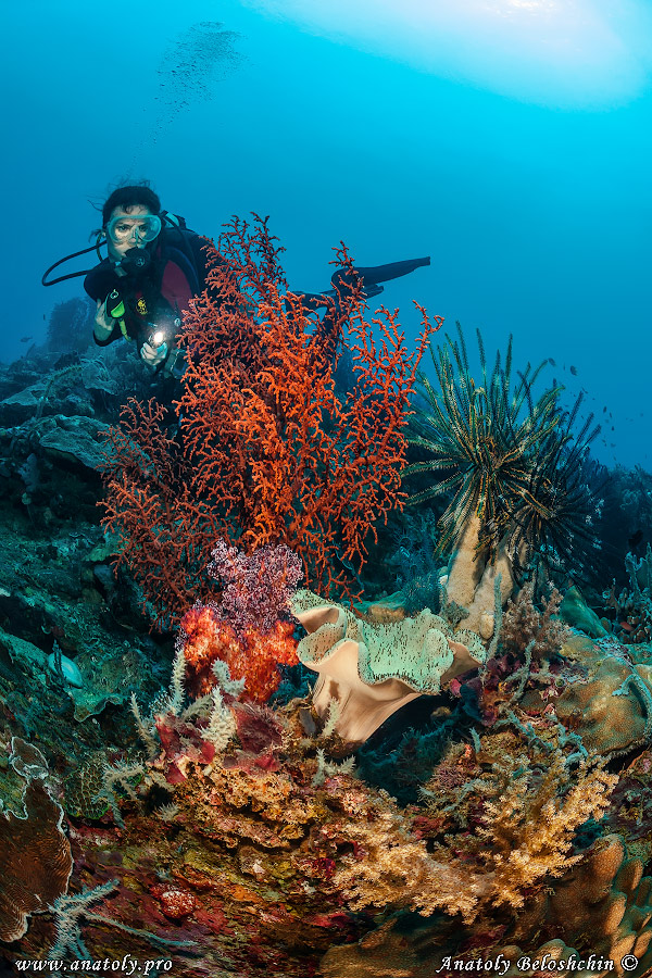 Philippines, Beloshchin, Белощин