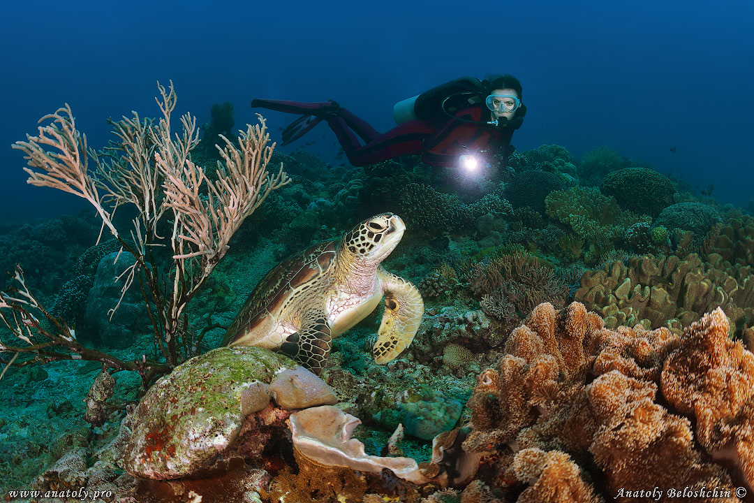 Philippines, Beloshchin, Белощин