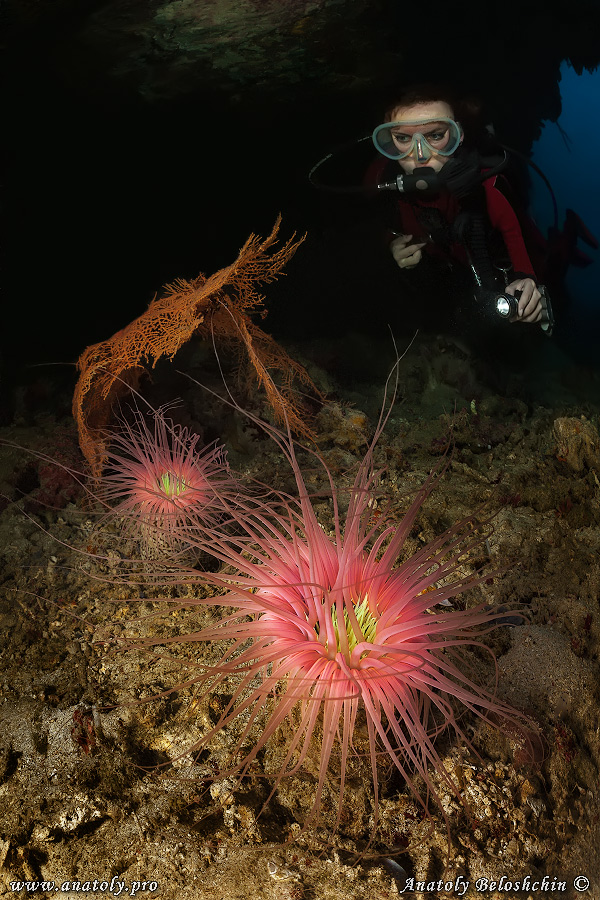 Philippines, Beloshchin, Белощин