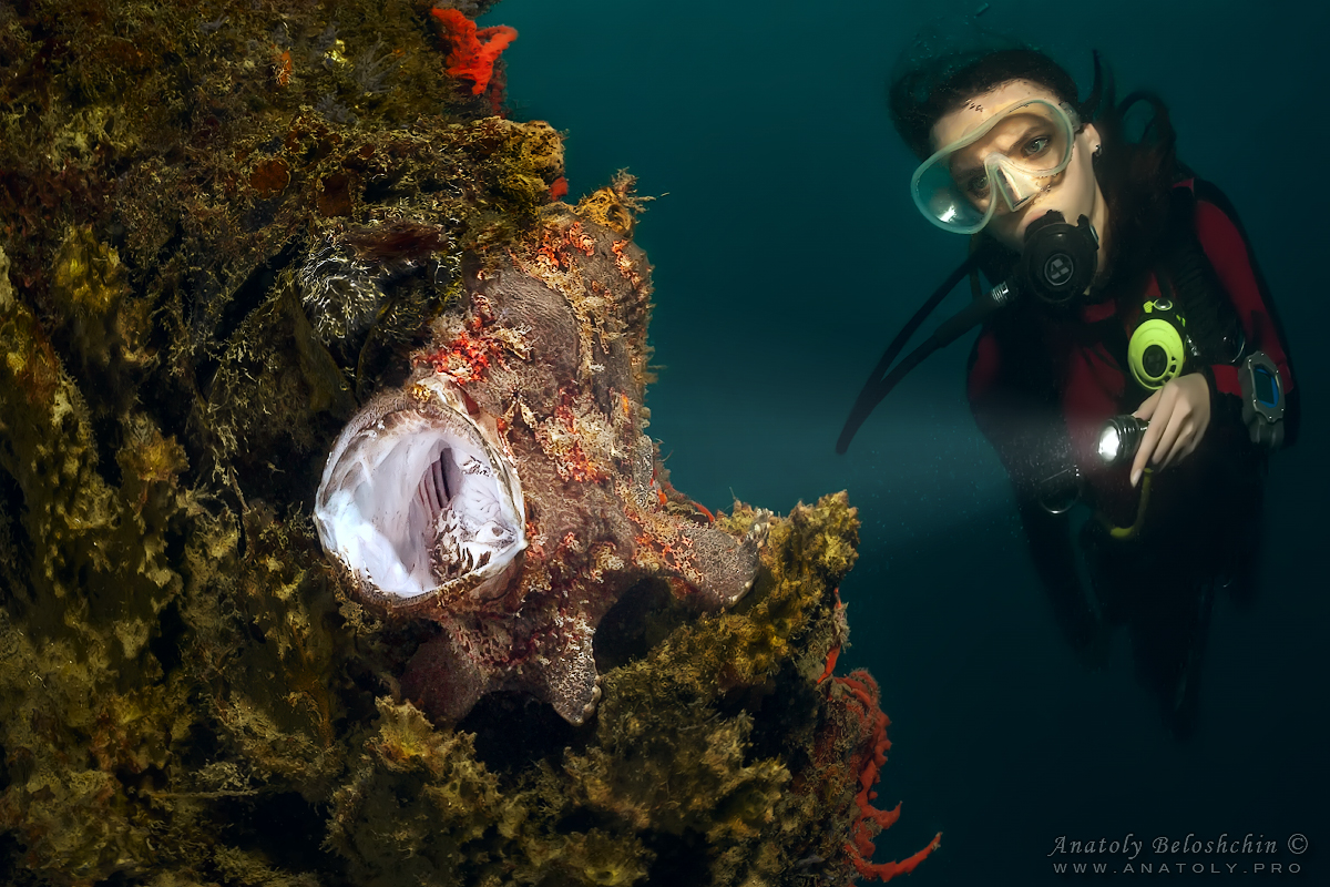 Philippines, Anatoly Beloshchin, Анатолий Белощин
