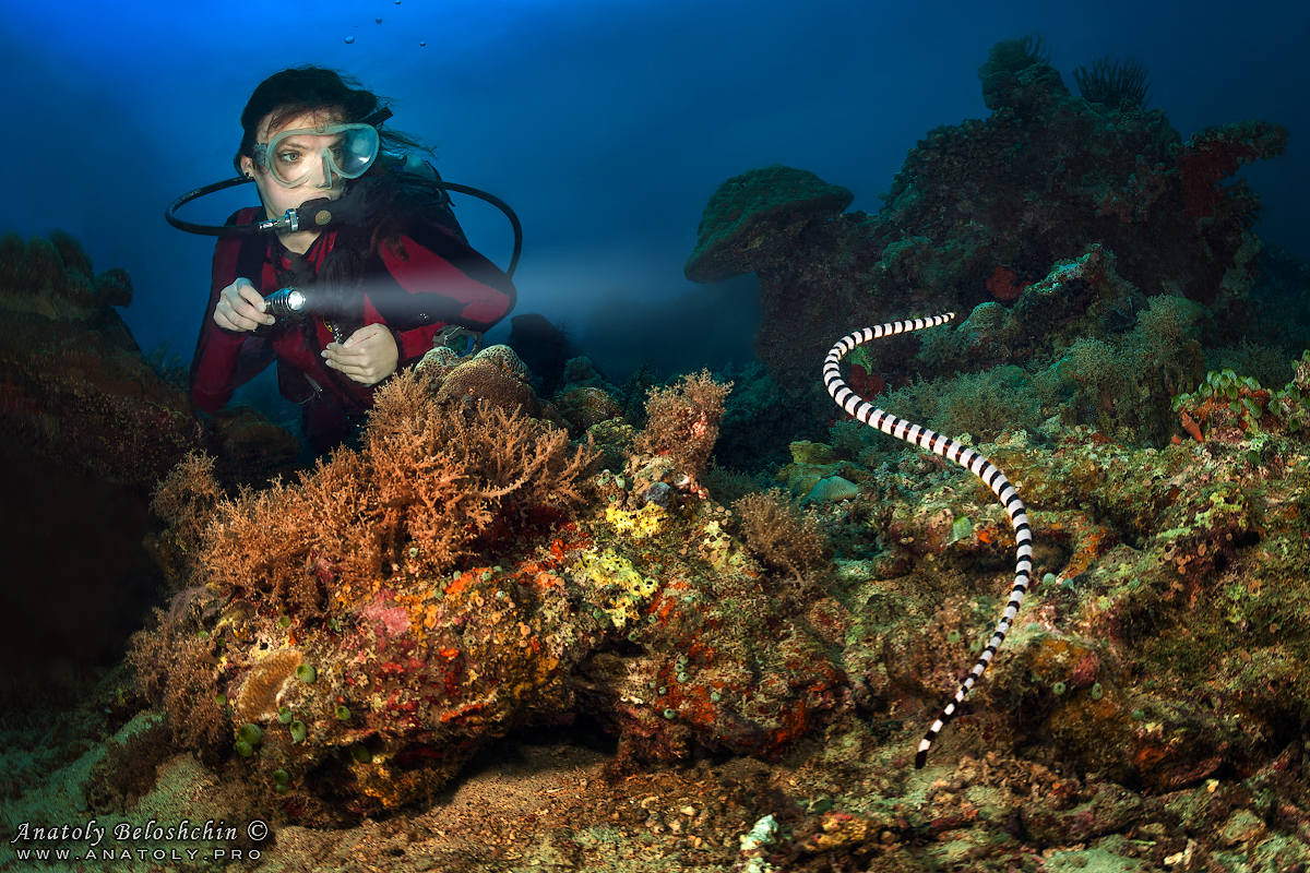 Philippines, Anatoly Beloshchin, Анатолий Белощин