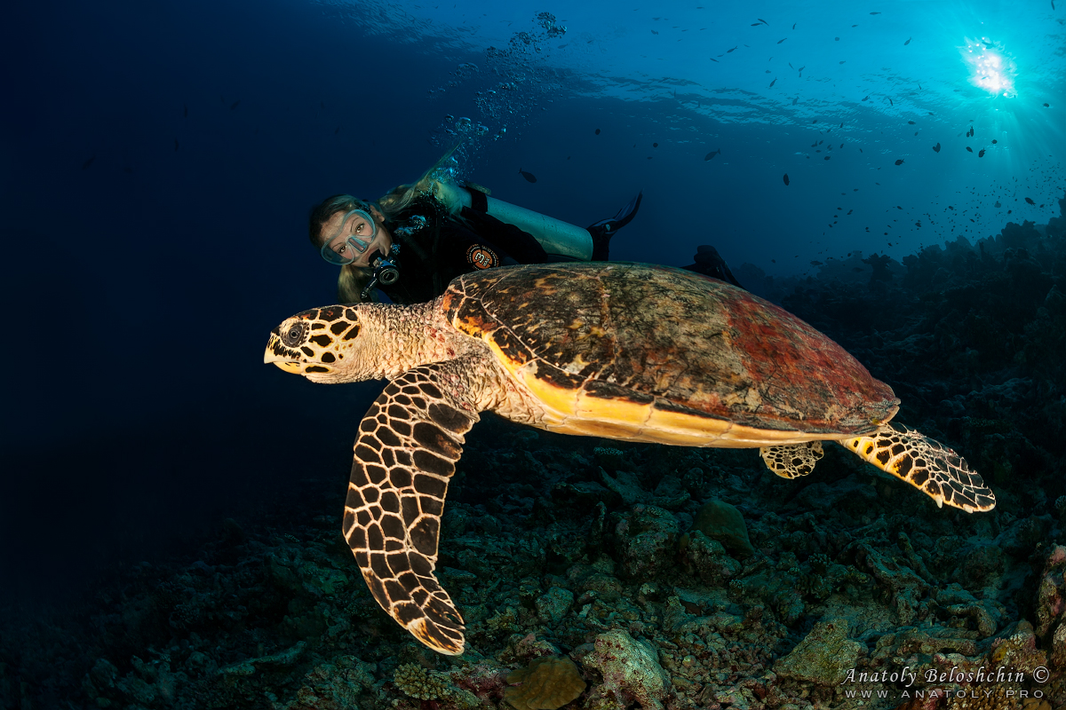 Maldives, Мальдивы, Beloshchin, Белощин