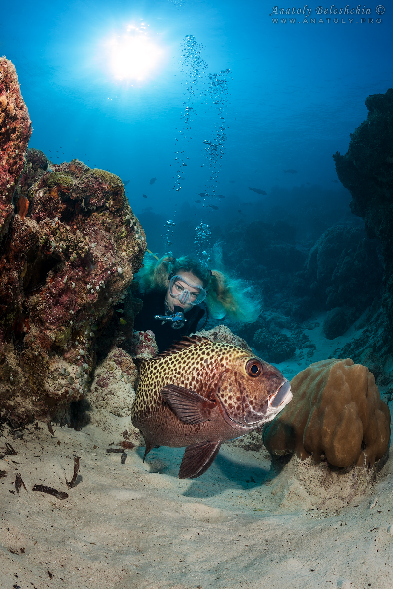 Maldives, Мальдивы, Beloshchin, Белощин
