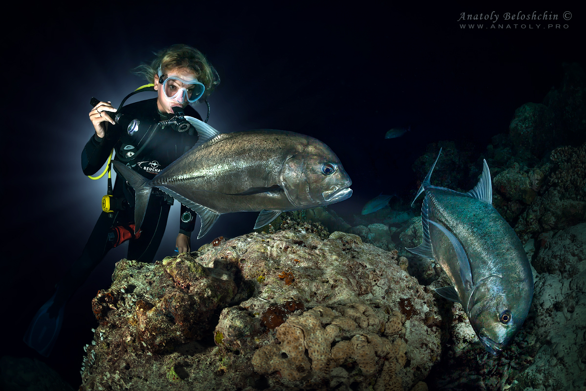 Maldives, Мальдивы, Beloshchin, Белощин