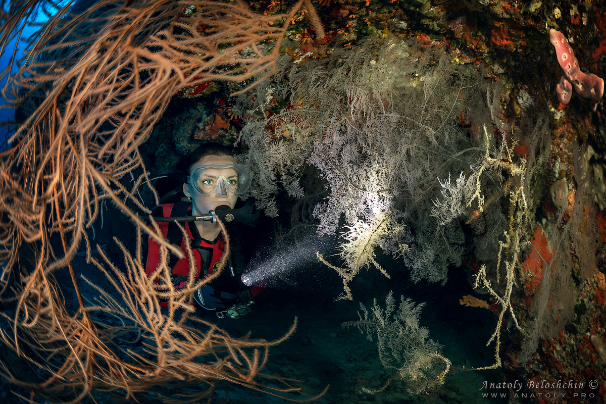 Maldives, Мальдивы, Beloshchin, БелощинMaldives, Мальдивы, Beloshchin, Белощин