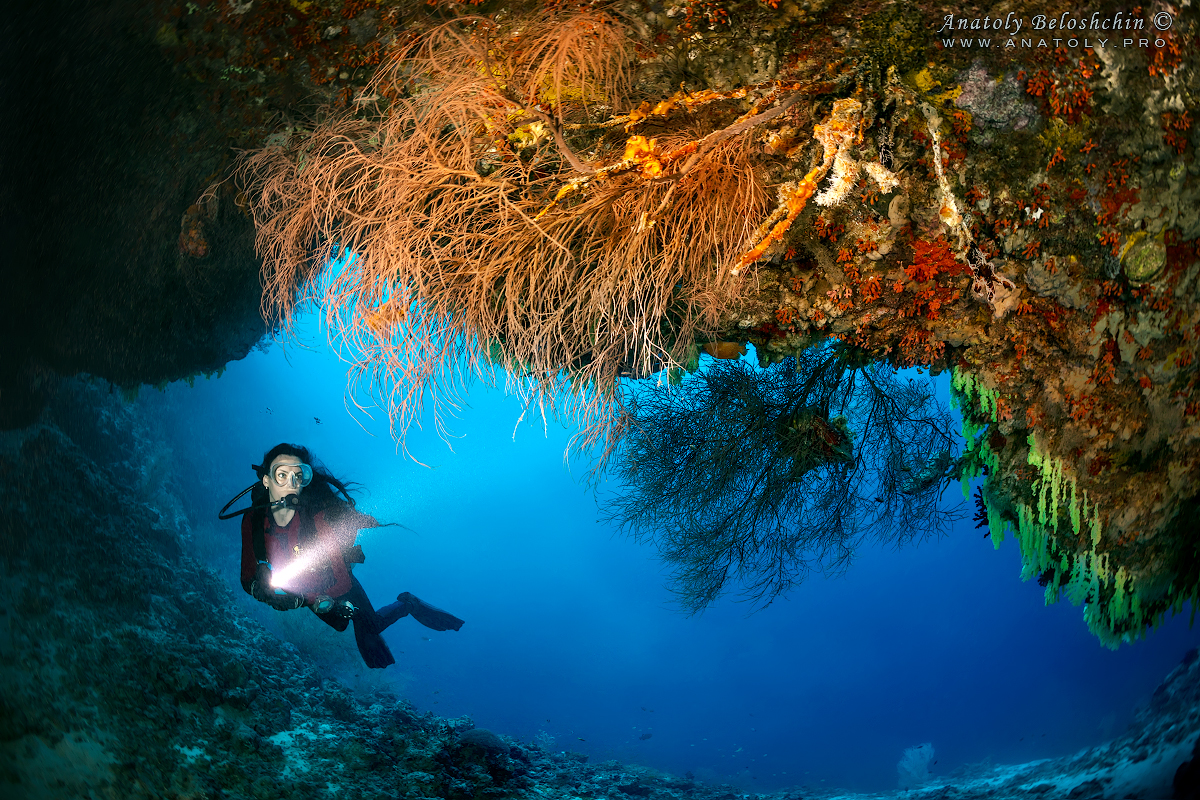 Maldives, Мальдивы, Beloshchin, БелощинMaldives, Мальдивы, Beloshchin, Белощин