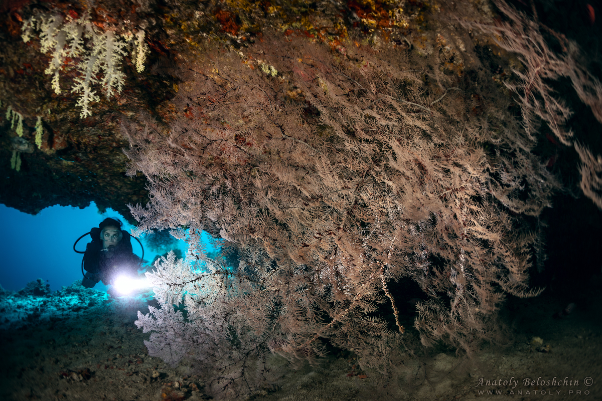 Maldives, Мальдивы, Beloshchin, БелощинMaldives, Мальдивы, Beloshchin, Белощин