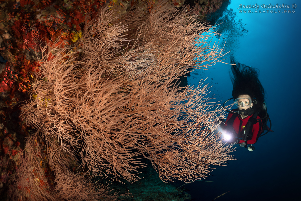 Maldives, Мальдивы, Beloshchin, Белощин