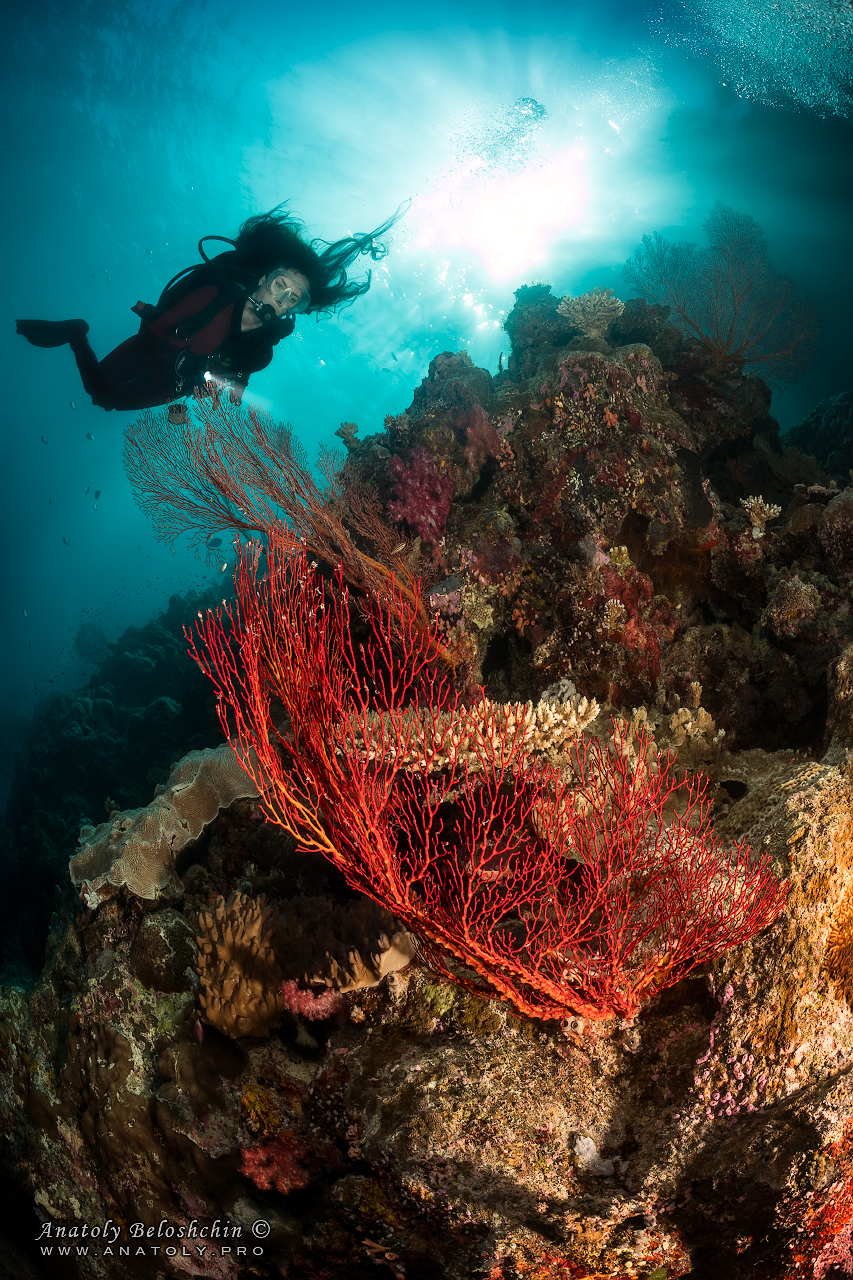 Palau, Anatoly Beloshchin, Палау, Анатолий Белощин