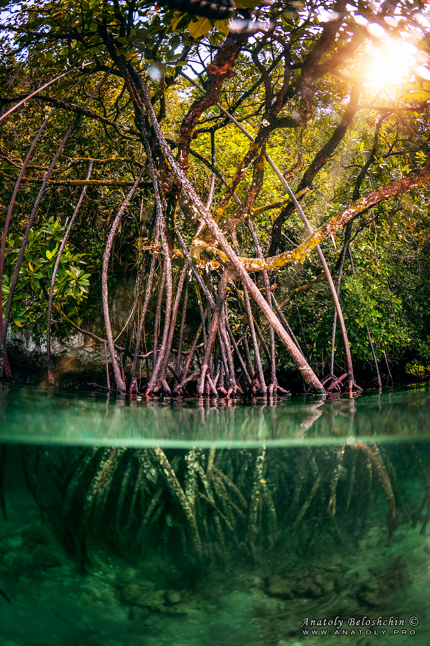 Palau, Anatoly Beloshchin, Палау, Анатолий Белощин