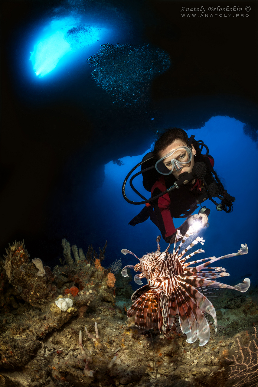 Palau, Anatoly Beloshchin, Палау, Анатолий Белощин, Blue Hole