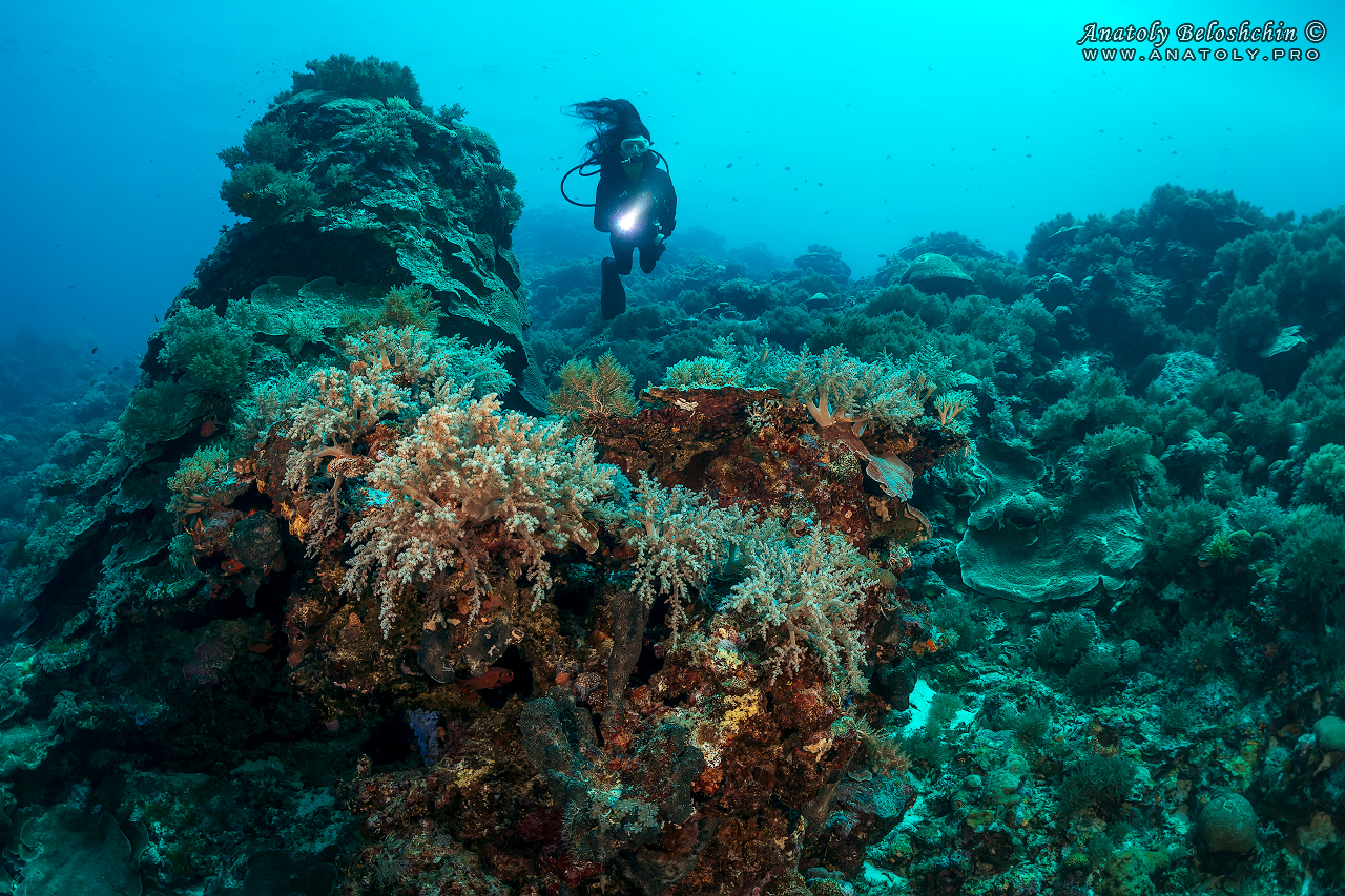 Palau, Anatoly Beloshchin, Палау, Анатолий Белощин
