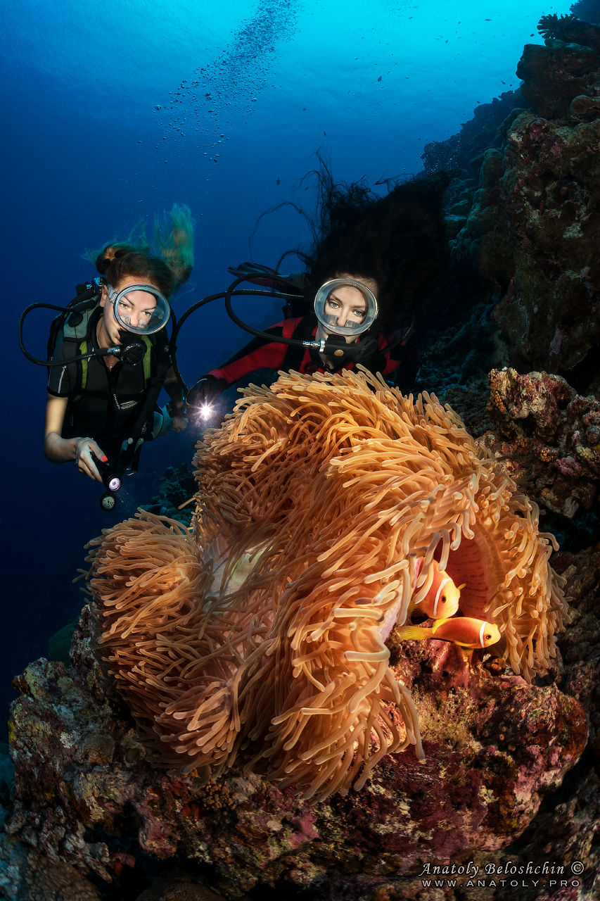 Maldives, Мальдивы, Beloshchin, Белощин