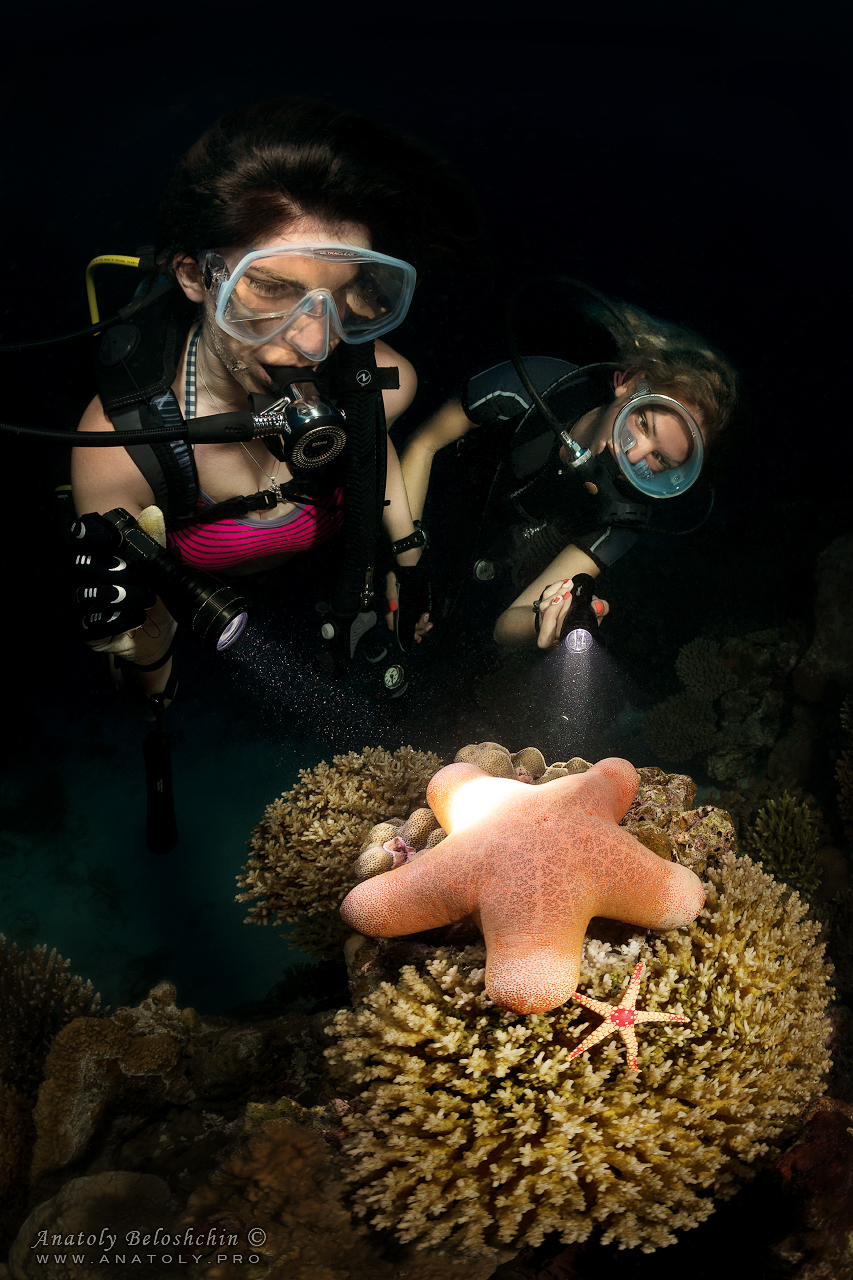 Maldives, Мальдивы, Beloshchin, Белощин