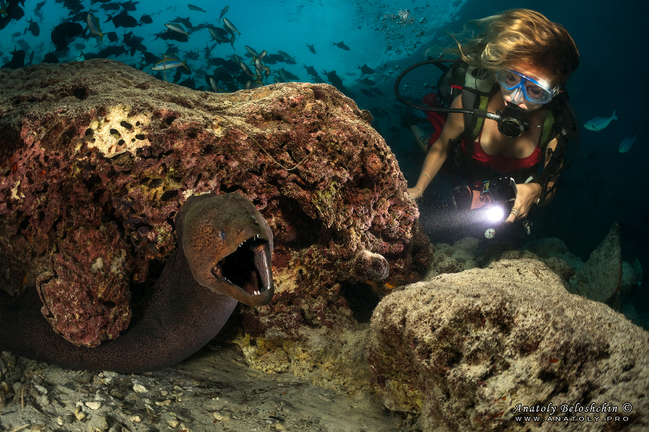 Moray, Maldives, Anatoly Beloshchin, Анатолий Белощин