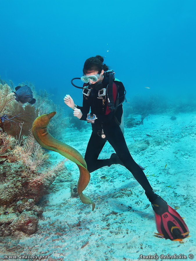 Underwater wide angle, Anatoly Beloshchin, Белощин