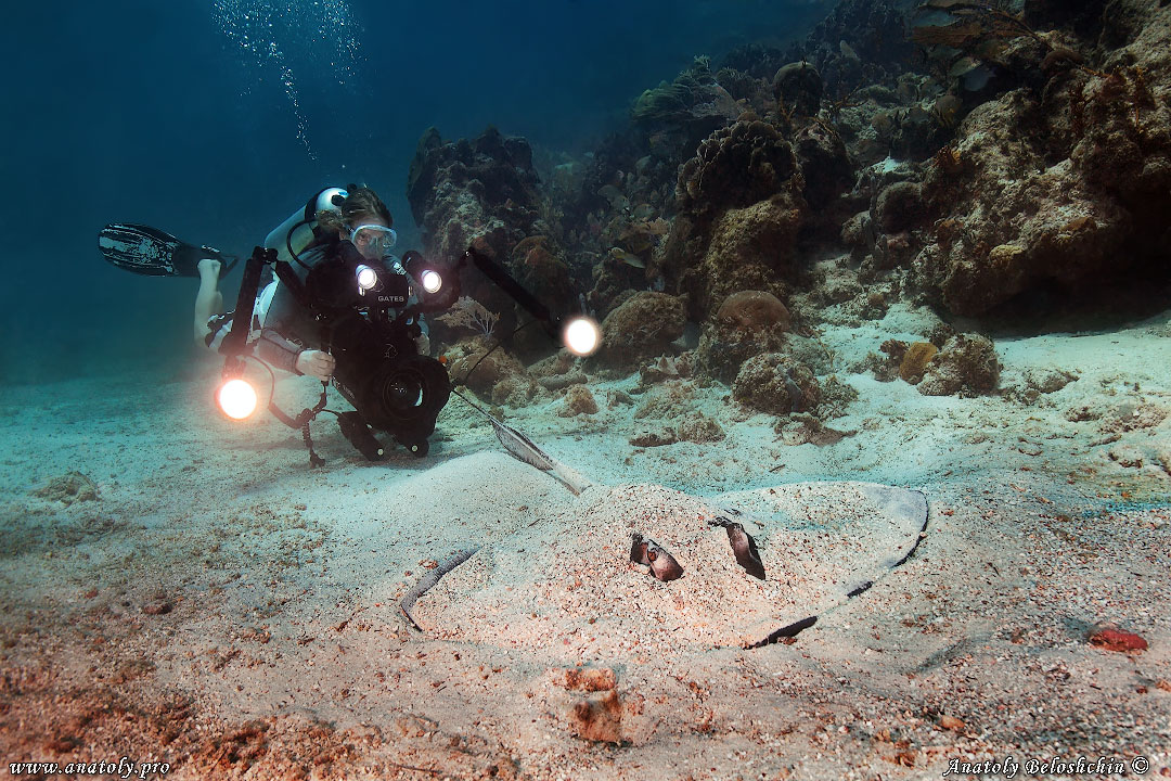 Underwater wide angle, Anatoly Beloshchin, Белощин