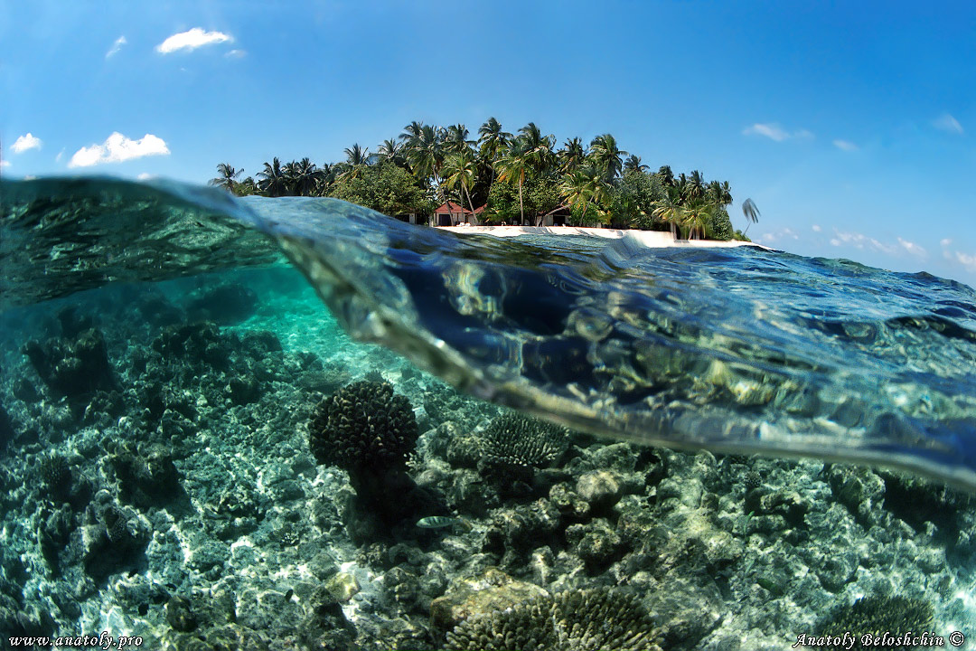 Underwater wide angle, Anatoly Beloshchin, Белощин