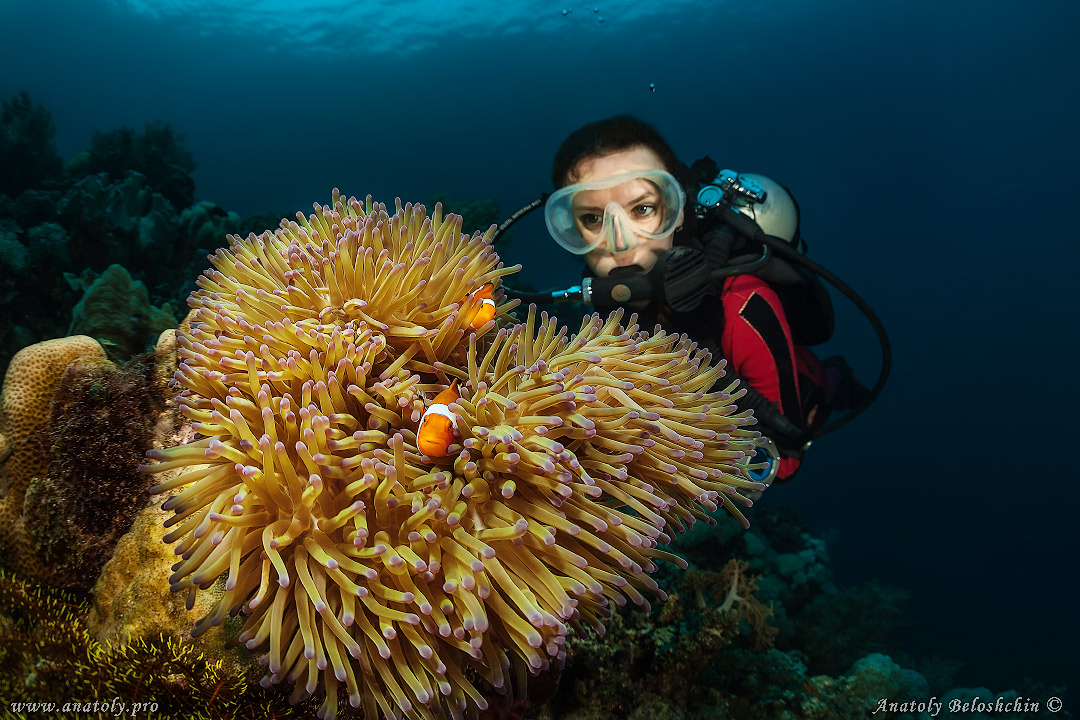 Underwater wide angle, Anatoly Beloshchin, Белощин