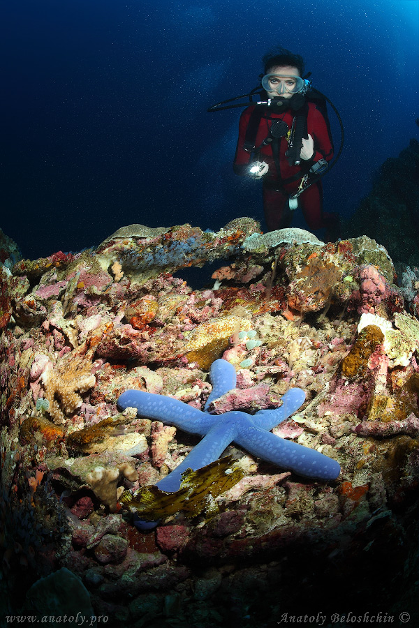 Underwater wide angle, Anatoly Beloshchin, Белощин