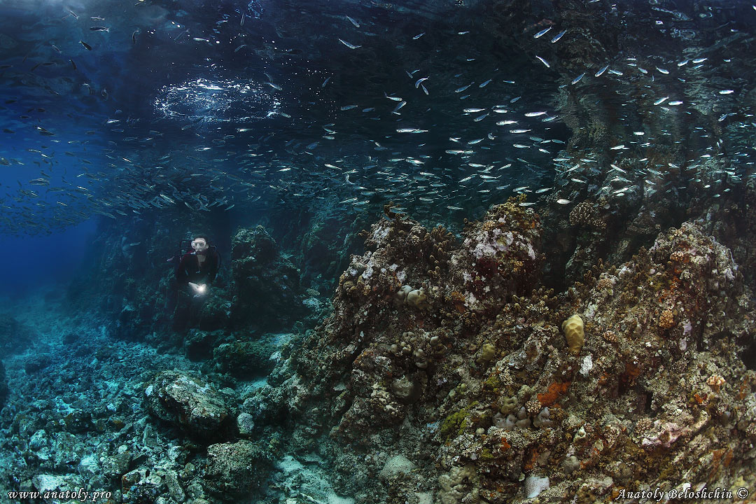 Underwater wide angle, Anatoly Beloshchin, Белощин
