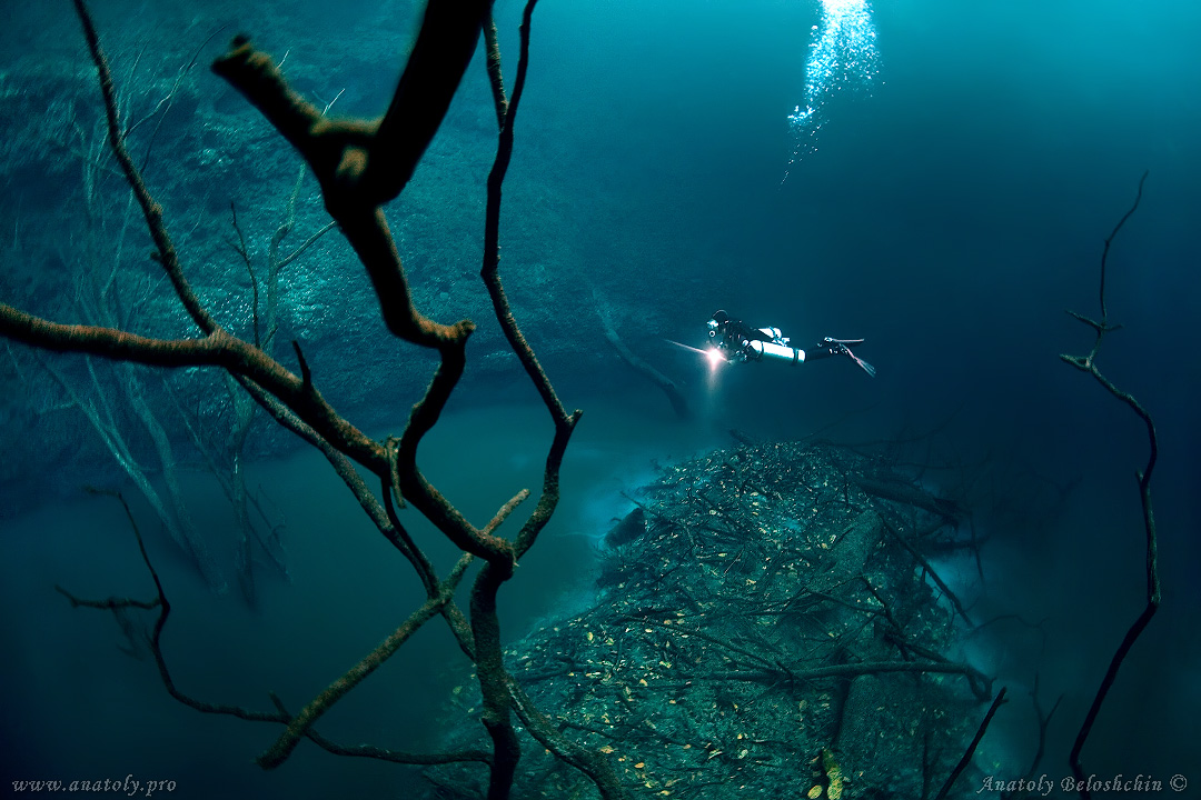 Cenote Angelita, Underwater wide angle, Anatoly Beloshchin, Белощин