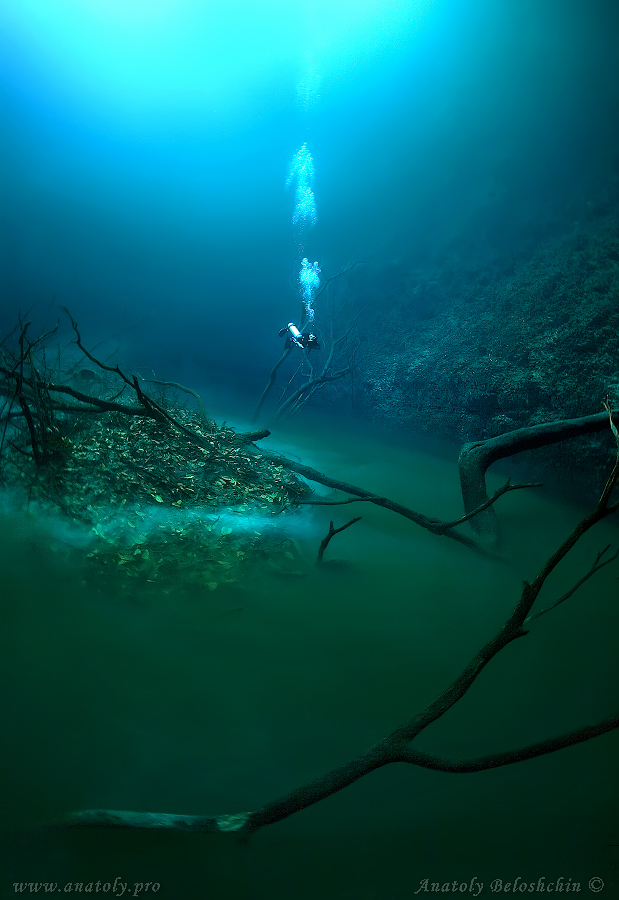 Cenote Angelita, Underwater wide angle, Anatoly Beloshchin, Белощин