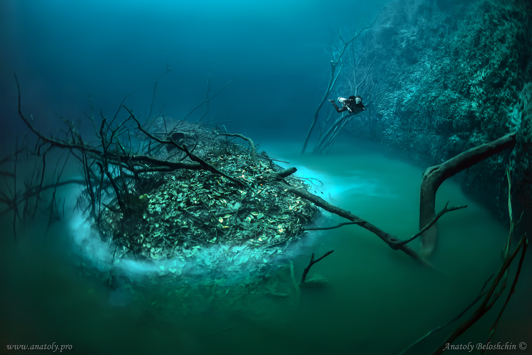 Angelita, Cenote, Mexico, Anatoly Beloshchin, Анатолий Белощин 