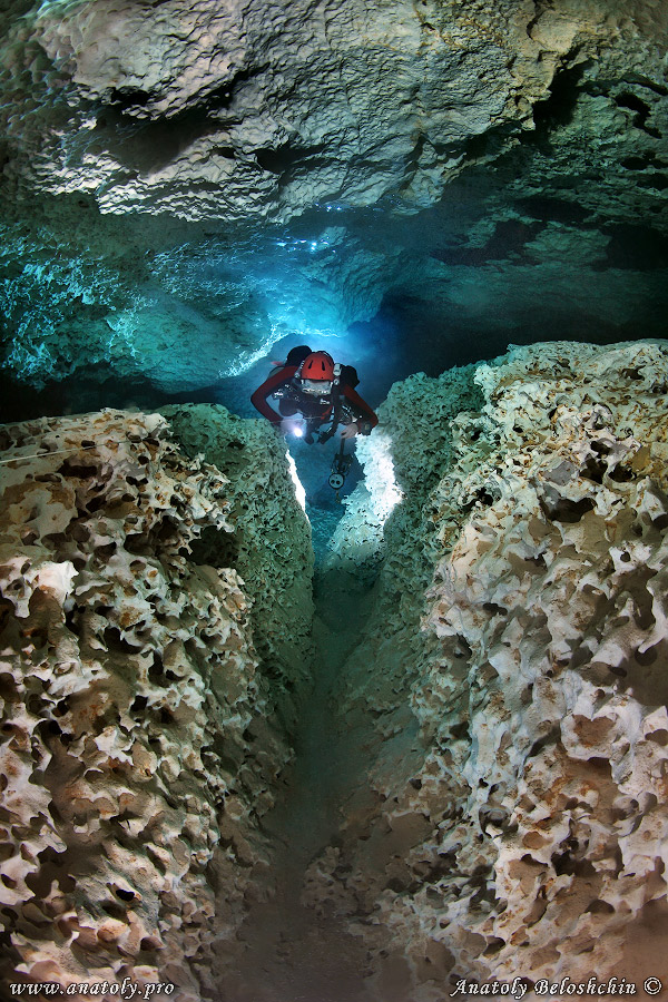 Grande Cenote, Cave, Mexico, Anatoly Beloshchin, Анатолий Белощин 