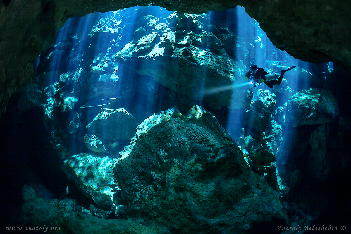 Cenote Chac Mool. Quintana Roo. Mexico. Photo by Anatoly Beloshchin 