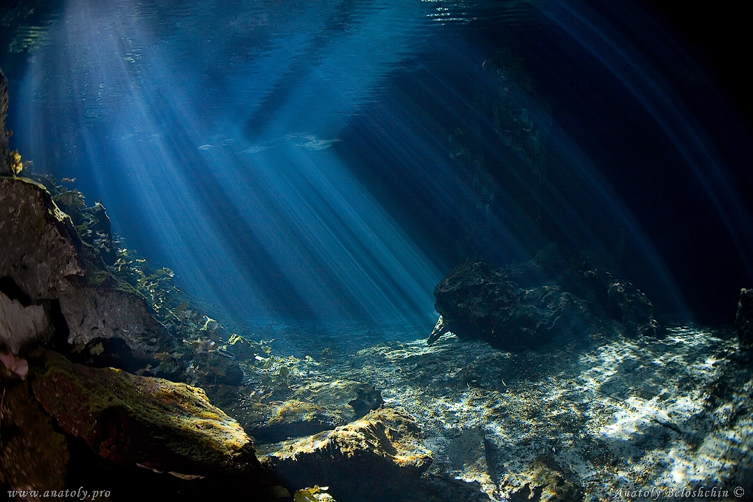 Grande cenote, cave, Anatoly Beloshchin, Белощин