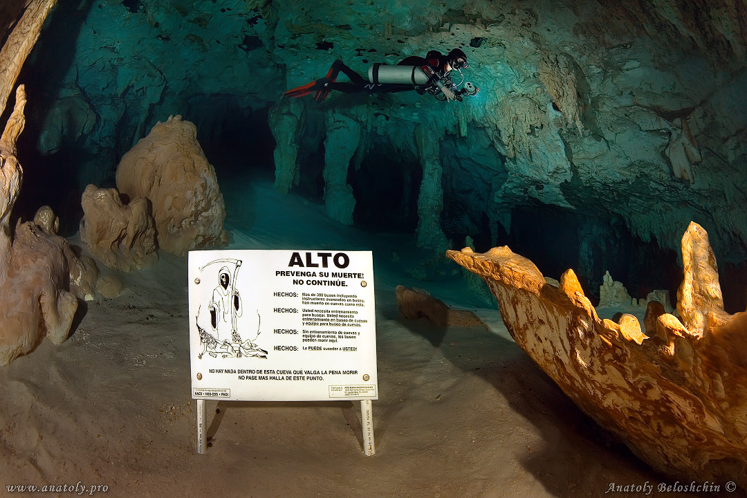 Grande Cenote, cave, Anatoly Beloshchin, Белощин