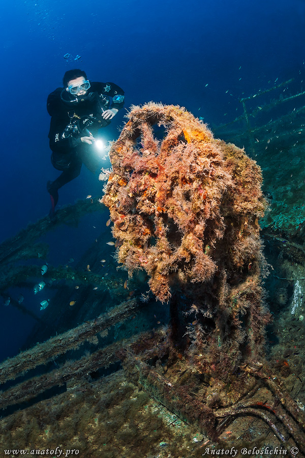 Wreck, Malta, Anatoly Beloshchin
