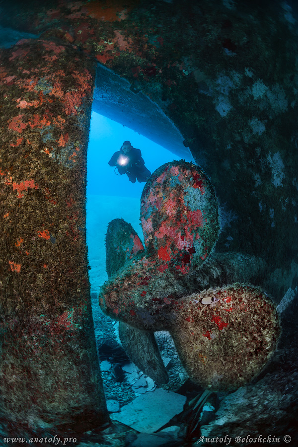 Wreck, Malta, Anatoly Beloshchin