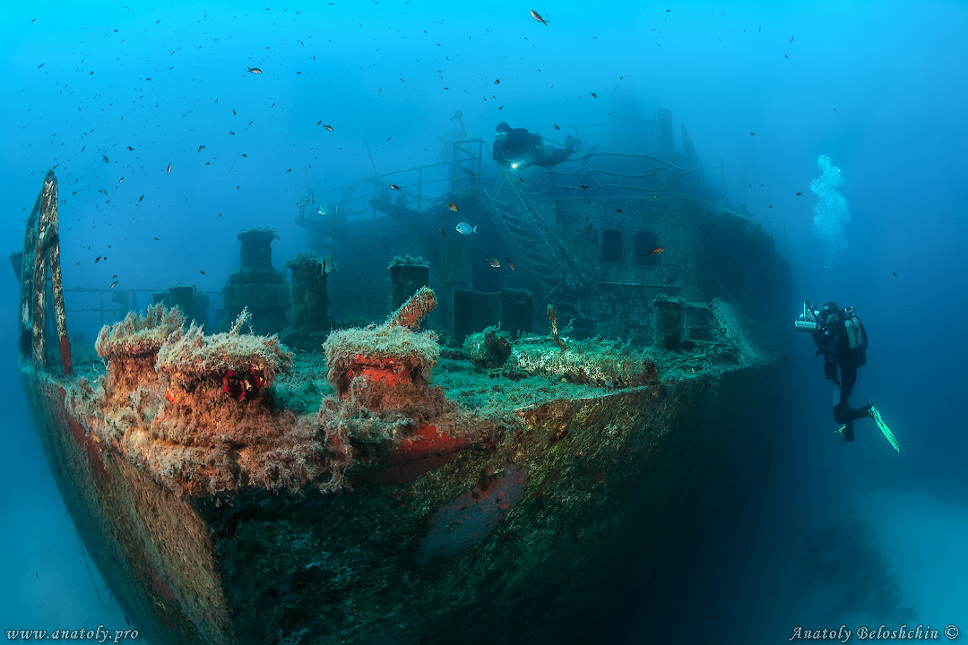 Wreck, Malta, Anatoly Beloshchin