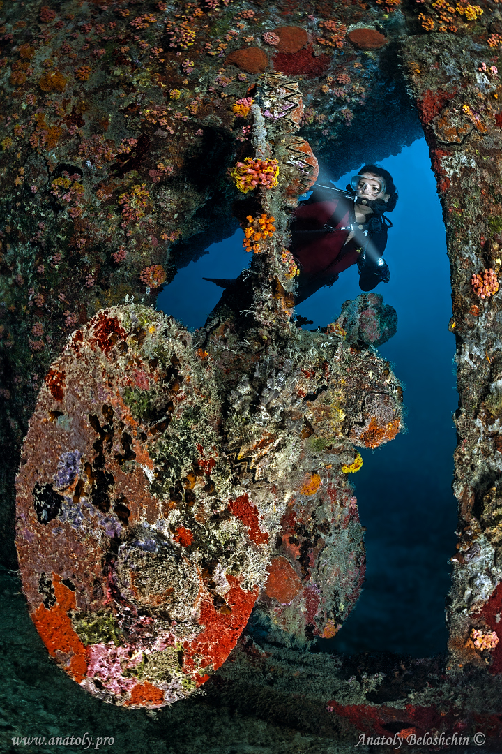 Maldives, Anatoly Beloshchin