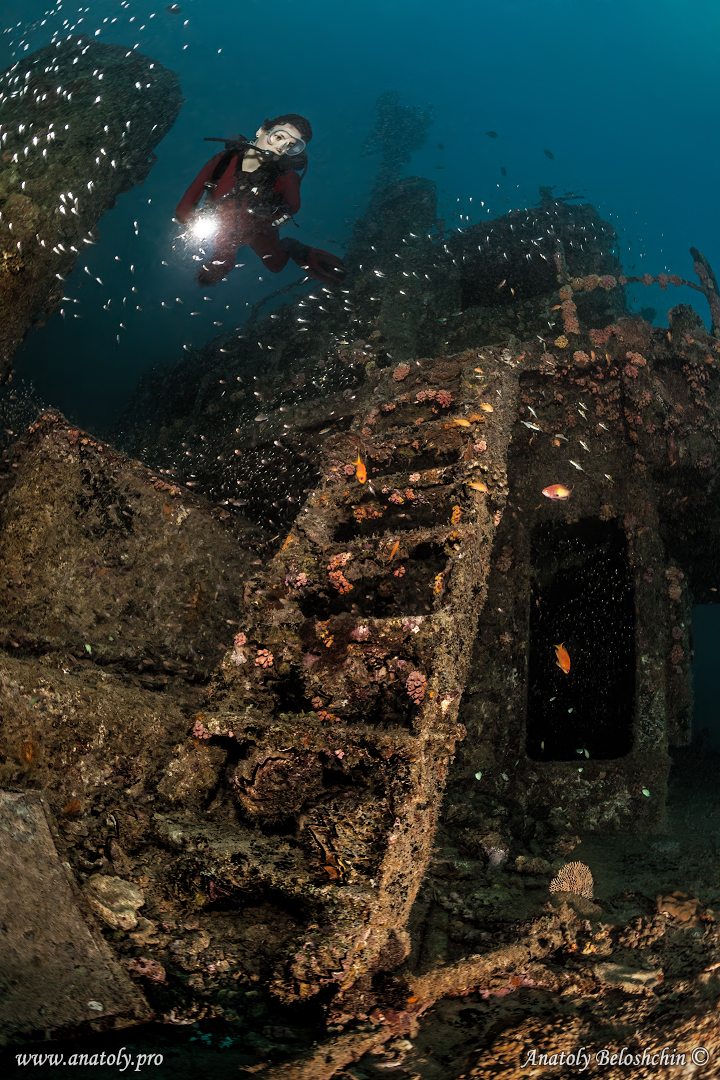 Maldives, Anatoly Beloshchin