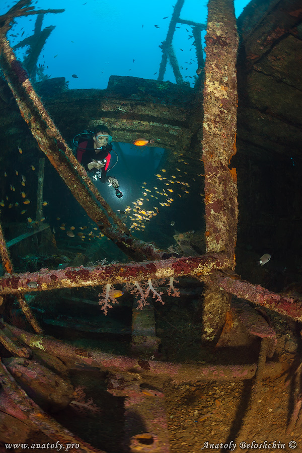 Wreck, Philippines, Beloshchin, Белощин