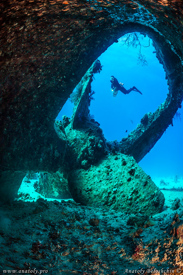 Red sea, wreck, Anatoly Beloshchin, Белощин 