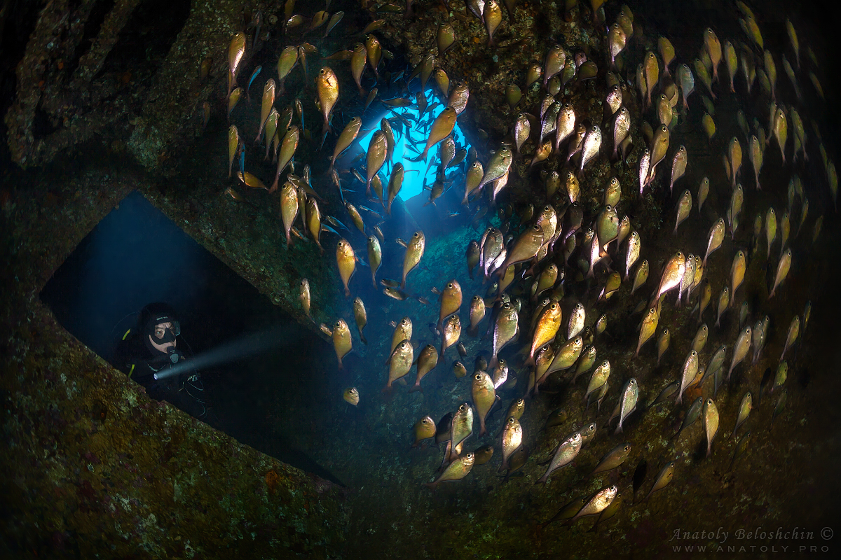 Cedar Pride Wreck, Jordan